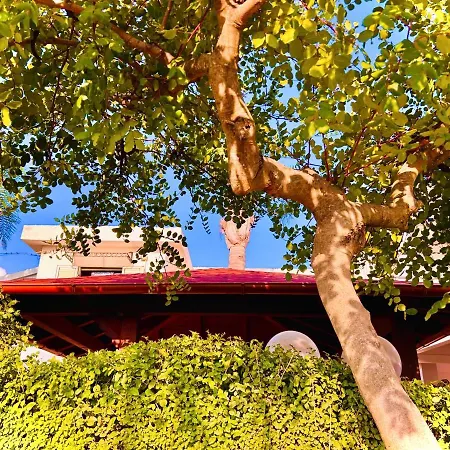 Apartment Giusy Botricello